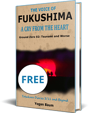 Book cover The Voice of FUKUSHIMA: A Cry from the Heart – Ground Zero 02: Tsunami and Worse