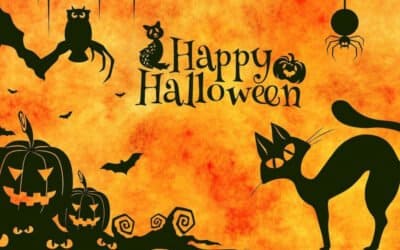 A 2025 Halloween Sound Journey | Spooky & Freaky Songs