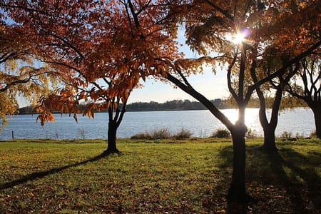 Autumn atmosphere in Washington, D.C.
